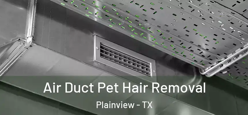  Air Duct Pet Hair Removal Plainview - TX