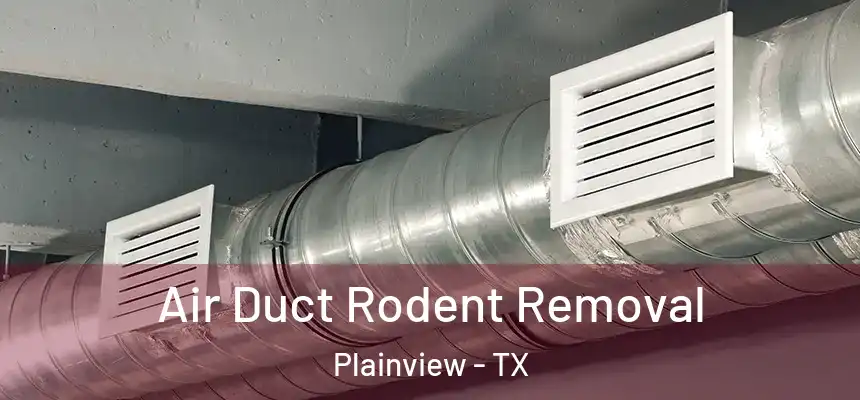  Air Duct Rodent Removal Plainview - TX