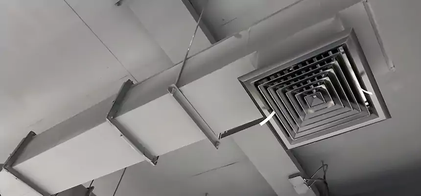 Our Rodent Droppings In Vents Services in Plainview, TX