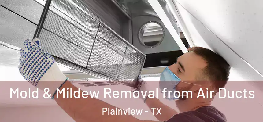  Mold & Mildew Removal from Air Ducts Plainview - TX