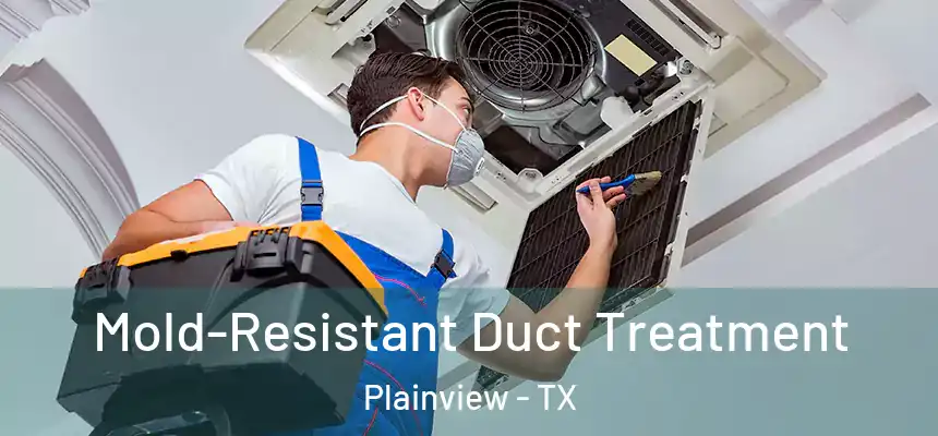  Mold-Resistant Duct Treatment Plainview - TX