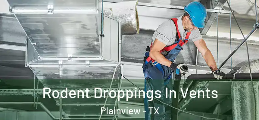 Rodent Droppings In Vents Plainview - TX