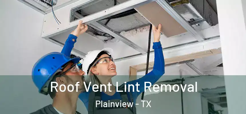 Roof Vent Lint Removal Plainview - TX