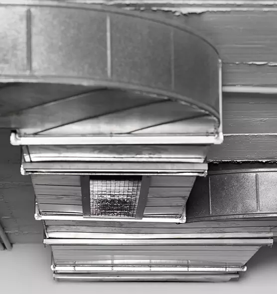 Professional Air Duct Pet Hair Removal in Plainview, TX