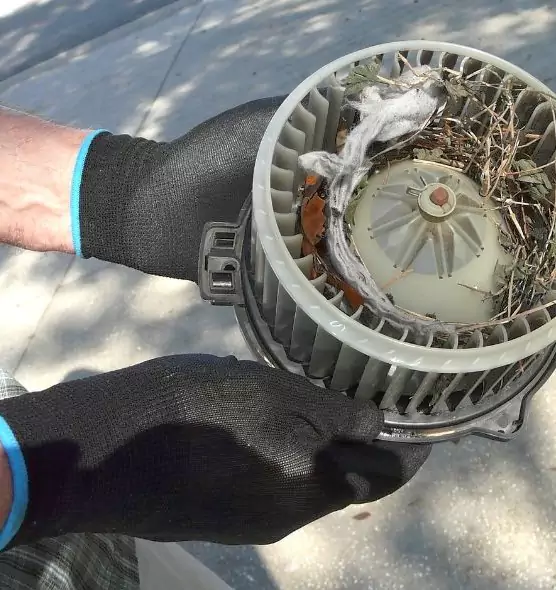 About Air Duct Rat Removal in Plainview, TX