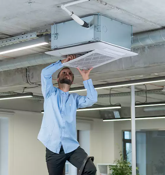 Advanced Rodent Droppings In Vents in Plainview, TX