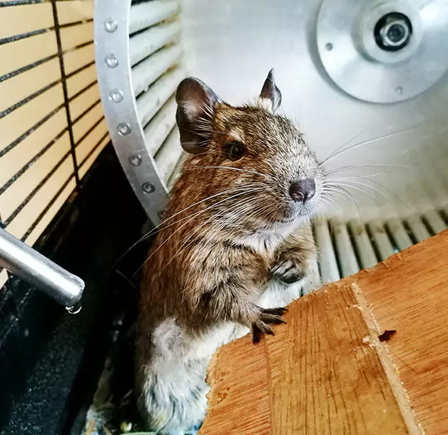 Why Homeowners & Businesses Trust Us Plainview, TX?